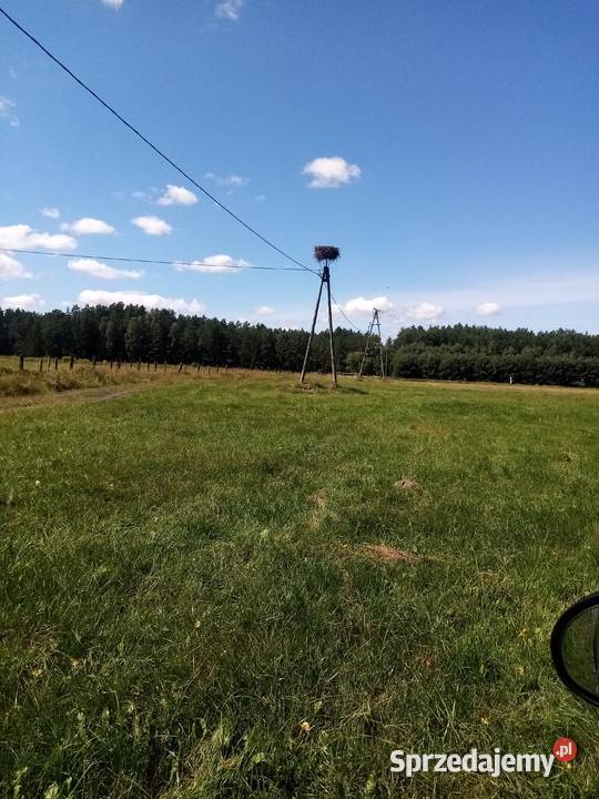 264 ha Szymanypodobno 15 godz Londynu 20640m2
