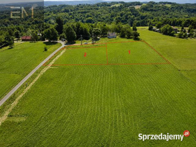 Grunt 1900m2 Lubenia Sprzedaż