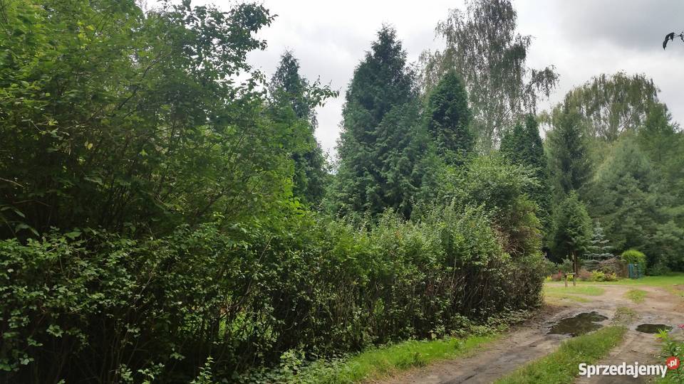 Działka w POD Wirnik Warszawa Bemowo 378m2 prąd Grunty i działki