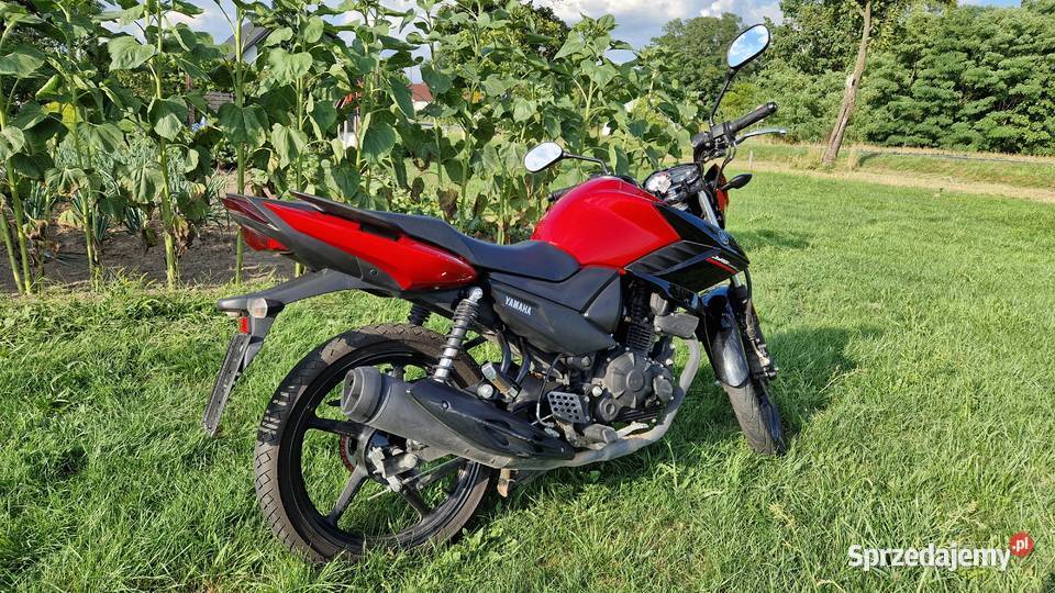 Yamaha YS 125 2020 kat B A1 niski przebieg