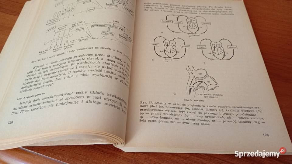 Fizjologia kręgowców P T Marshall G M Hughes pomorskie Gdańsk