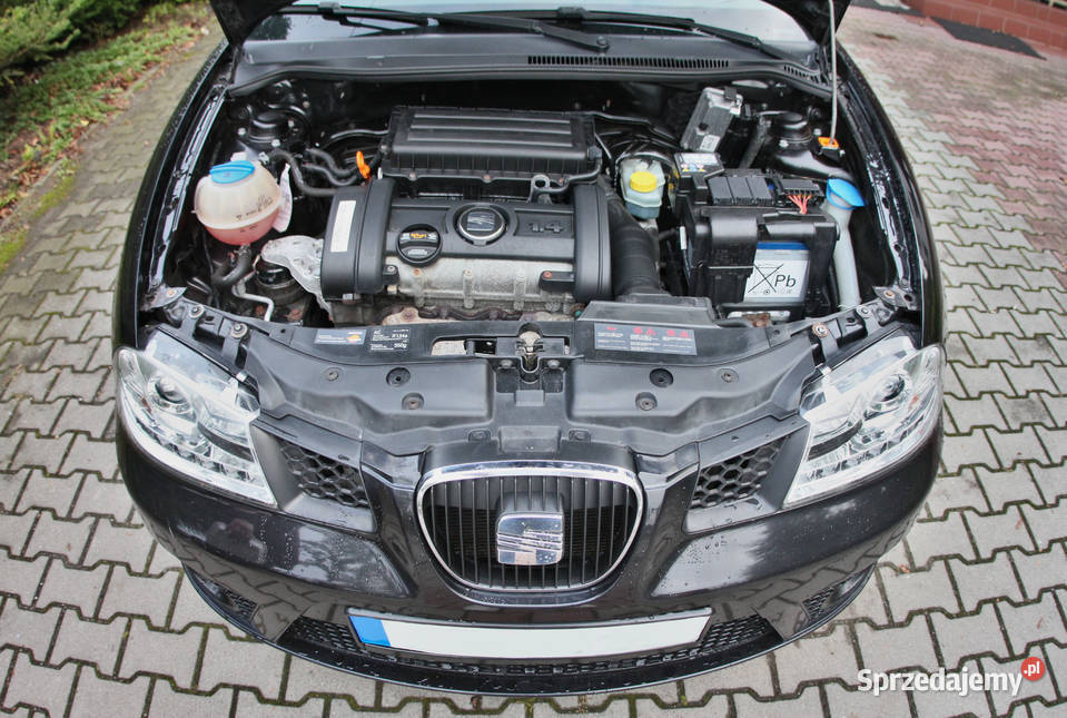 Seat Ibiza super STAN lampy LED alufelgi piękny Brzeszcze sprzedam