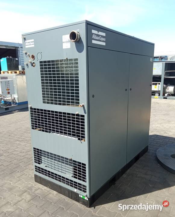 Sprężarka śrubowa kompresor ATLAS COPCO GA55 Wilków