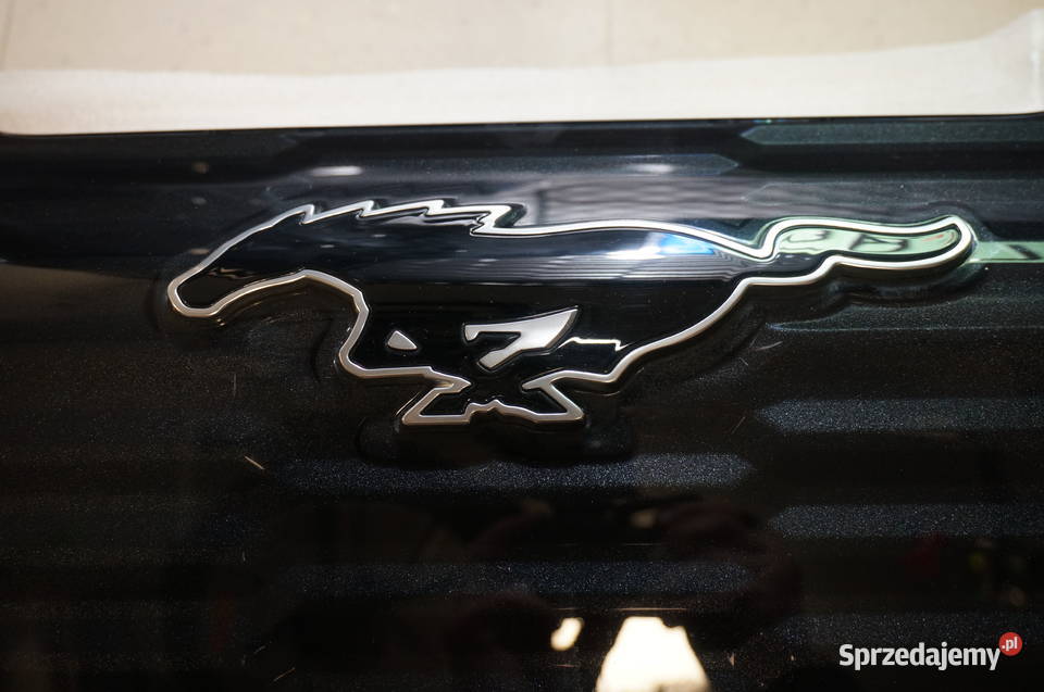 Atrapa Grill przedniego zderzaka Ford Mustang Bielsko-Biała