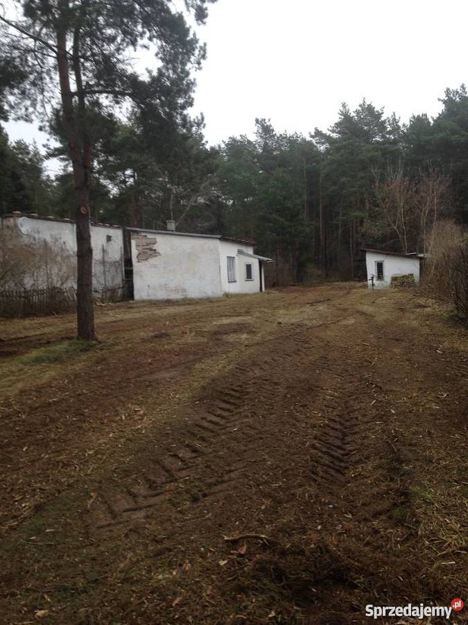 DzbudJozefow kOtwocka Dzika z domkiem i 321zł/m2 Grunty i działki sprzedam