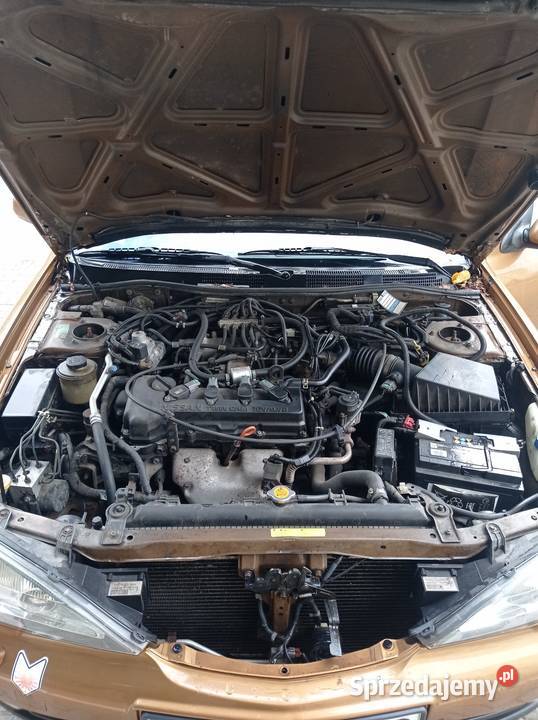 Nissan Primera P11 lift autoalarm Biała Podlaska