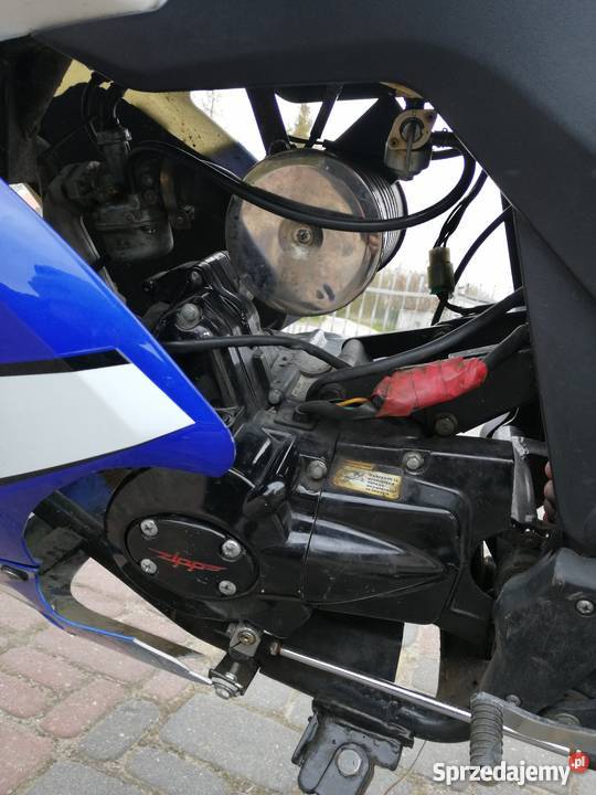 Zip Pro 50 Kołobrzeg