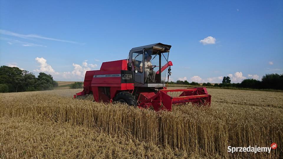Massey ferguson 16
