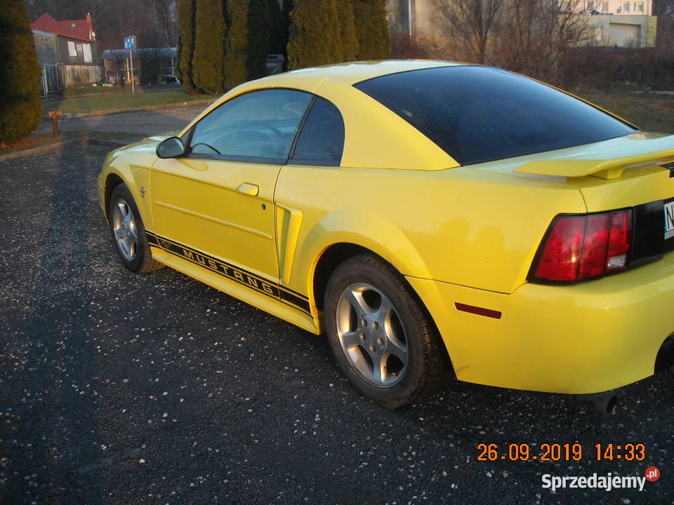 sprzedam mustang sn95 skórzana tapicerka
