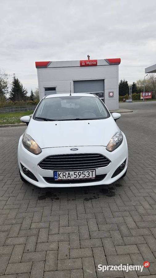 Ford Fiesta MK7 elektryczne lusterka Przysieki sprzedam