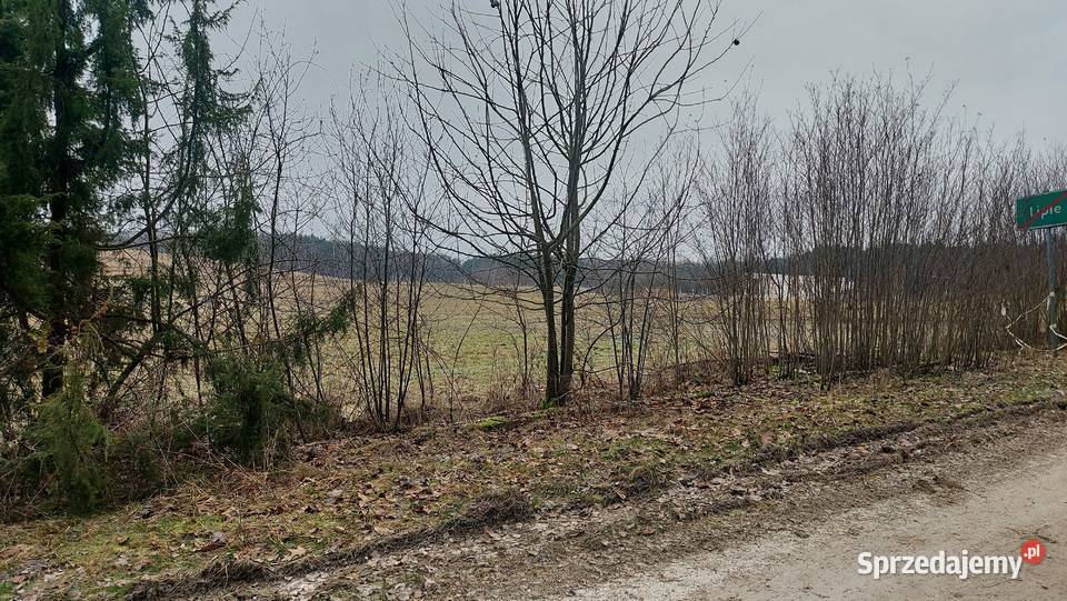 Sprzedam działki budowlane 1311m2 świętokrzyskie