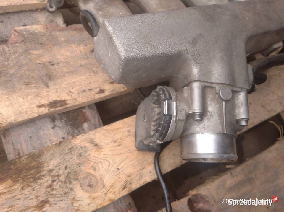 Kolektor dolotowy Audi A4 B6 18t Bochnia sprzedam