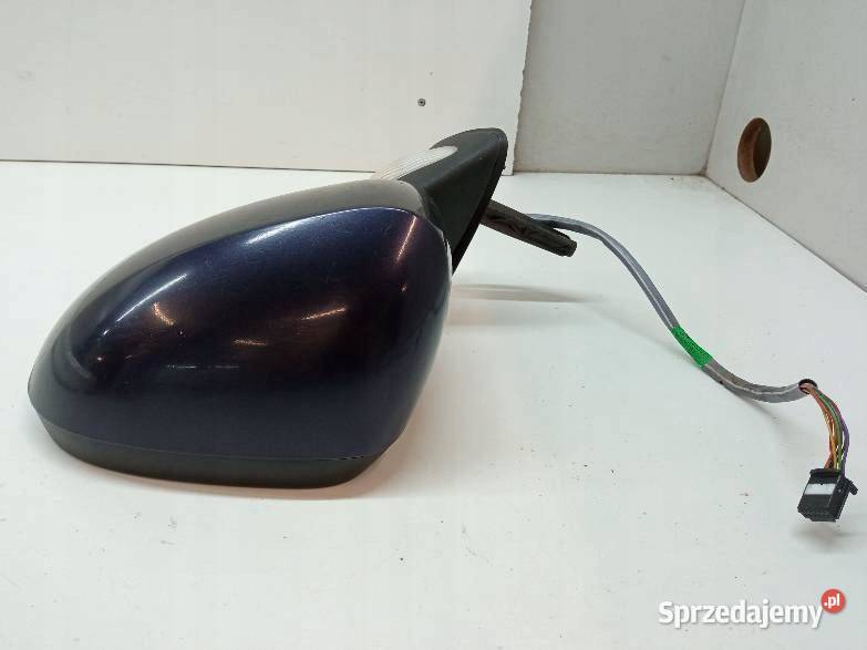 LUSTERKO LEWE 9PIN EUROPA 8200436382 Renault Motoryzacja
