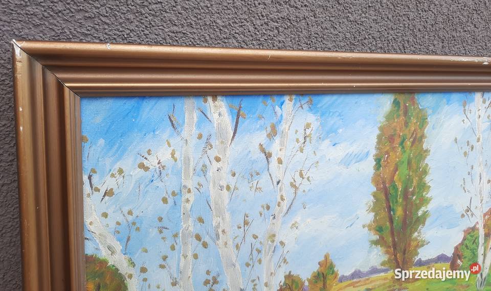 51 Pejzaż rozlewisko stary obraz sygnowany Malarstwo pomorskie Tczew sprzedam