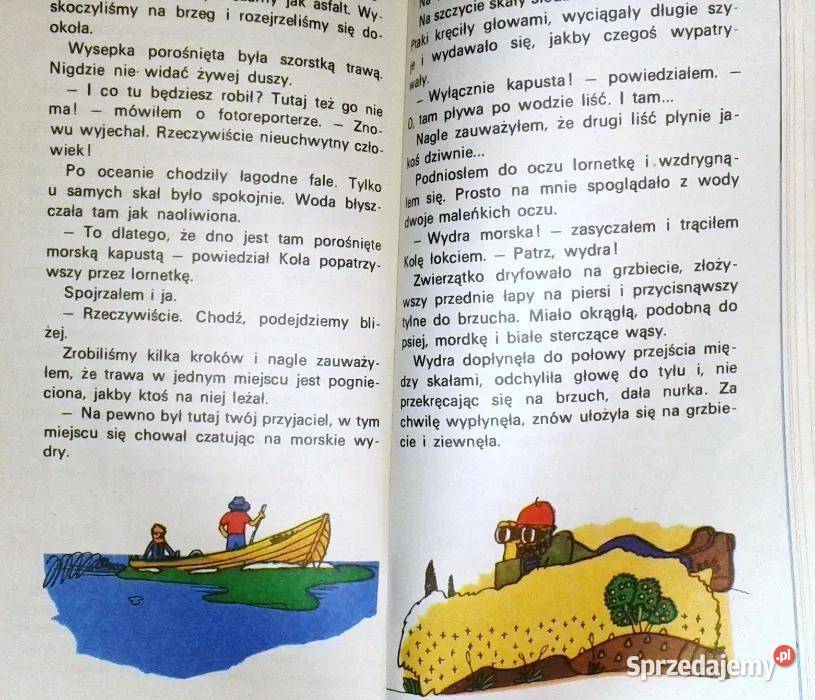 Wyspa delfinów Światosław Sacharnow Pozostałe Chełm sprzedam