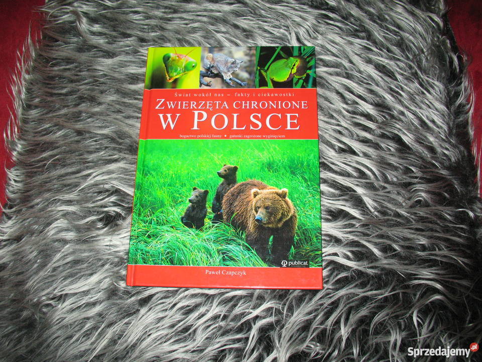 Zwierzęta chronione w Polsce (KSIĄŻKA)