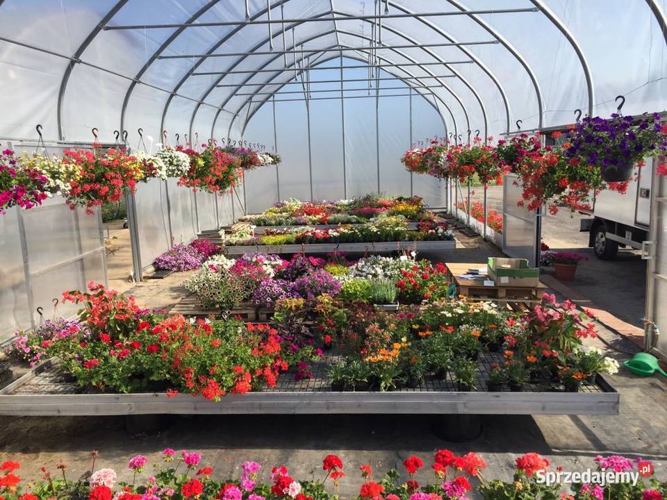 Stoły zalewowe 300x162 Nowy Stół do kwiatów Dom i Ogród Śmigiel