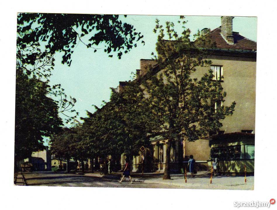 OLKUSZ POCZTÓWKA Krynki