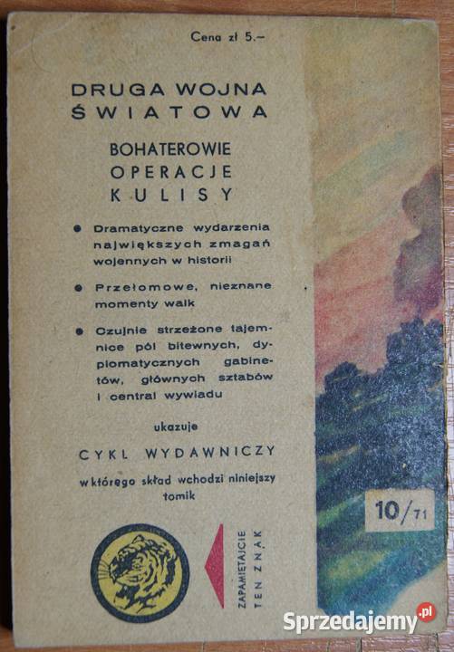 Żółty Tygrys Płonące pantery 1071 Parczew