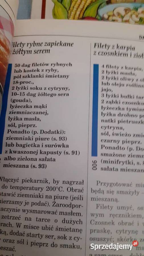 Zestaw porad kulinarnych kuchnia, potrawy Szczecin