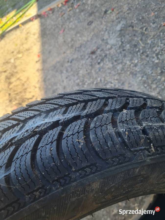 Opona zimowa Dębica frigo 1856015 1sztuka Myszków