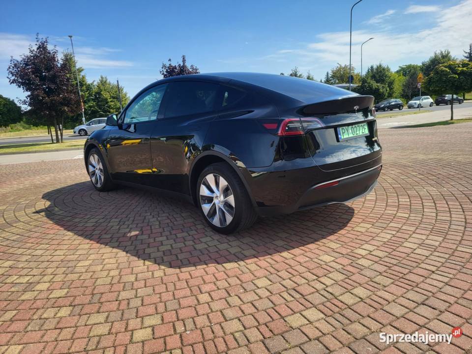 Tesla Y Long Ramge Dual Motor AWD PPF HAK Poznań