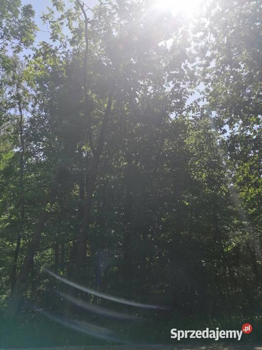 Udział w nieruchomości gruntowej niezabudowanej Parczew