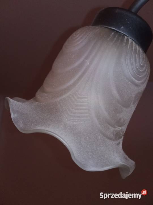 Klosz szklany do żyrandola Wrocław