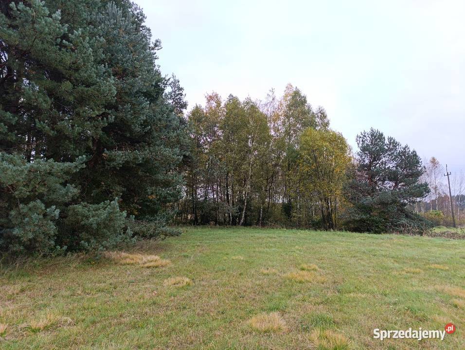 Działka budowlana pod osiedle 29400m2 Piaski gm śląskie