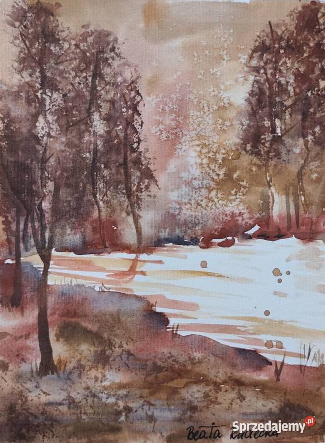 Akwarela Akwarelka Obraz pt Leśny Szmer Malarstwo Opole
