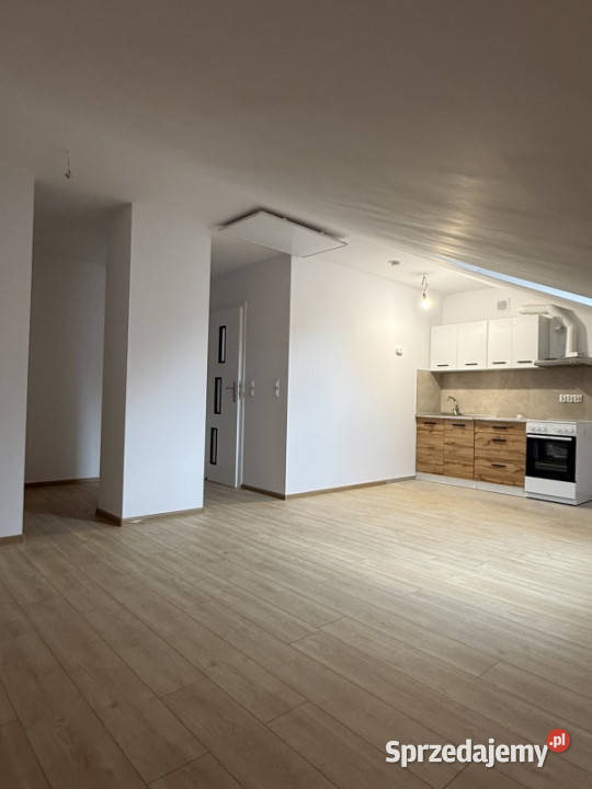 Do wynajęcia mieszkanie w ścisłym centrum Liczba pokoi 1 Kraków