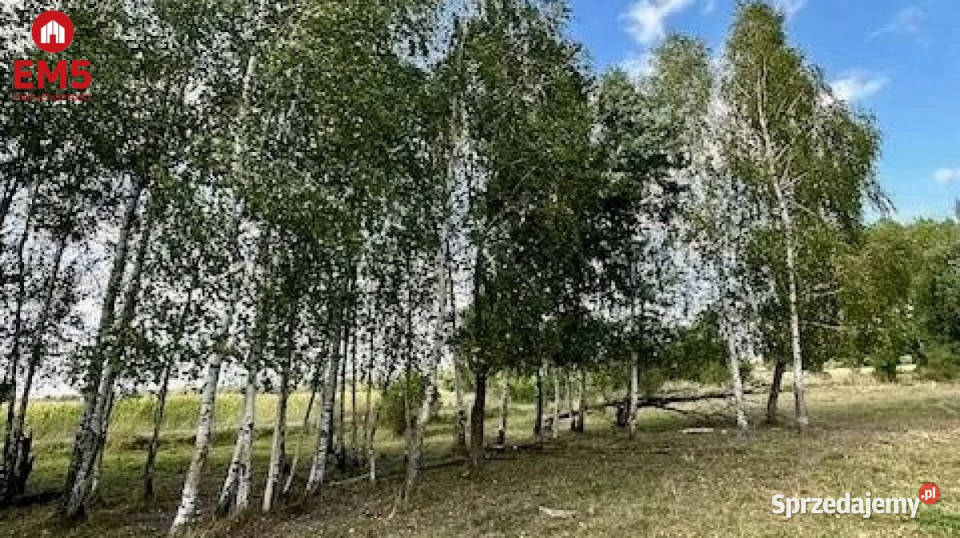 Działka do sprzedania 1425m2 Rafałówka prąd sprzedam