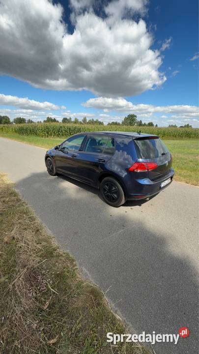 Volkswagen Golf VII 16 TDI 115 Świeca sprzedam