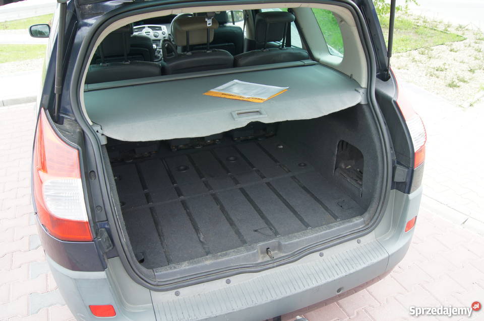 Renault Megane Scenic II 2008 19 DCI IGŁA 131KM Katowice