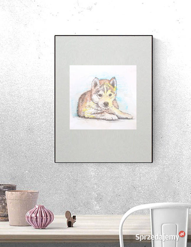 szczeniak plakat A3 grafika z psem husky plakat odcienie szarości pomorskie