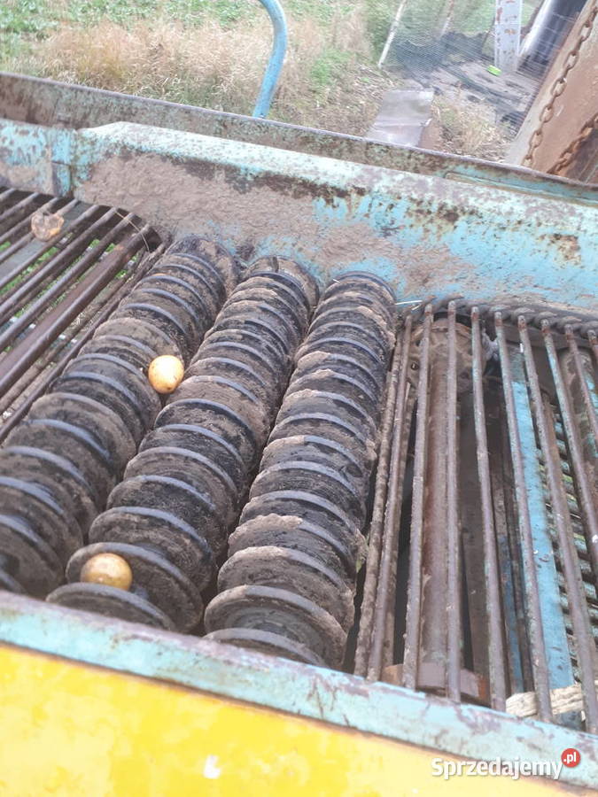 Kombajn ziemniaczany Anna z644 stan Sobótka