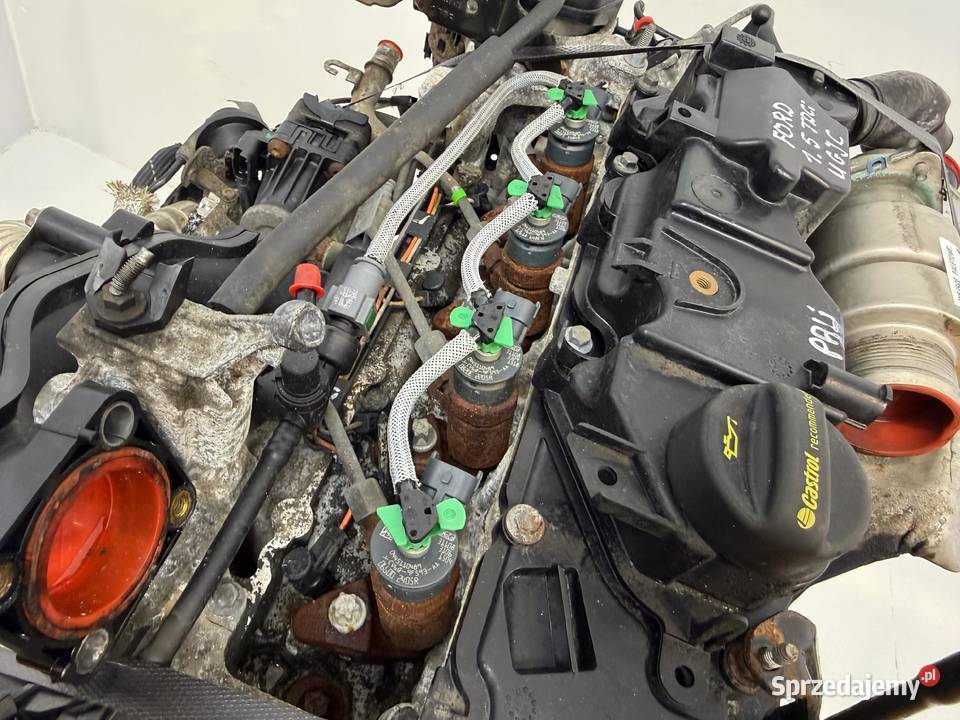 SILNIK UGJC Ford Fiesta VII MK7 B B 15 TDCI 75 osobowe Chełm