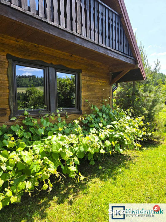 Dom wolnostojący Siemuszowa 443m2