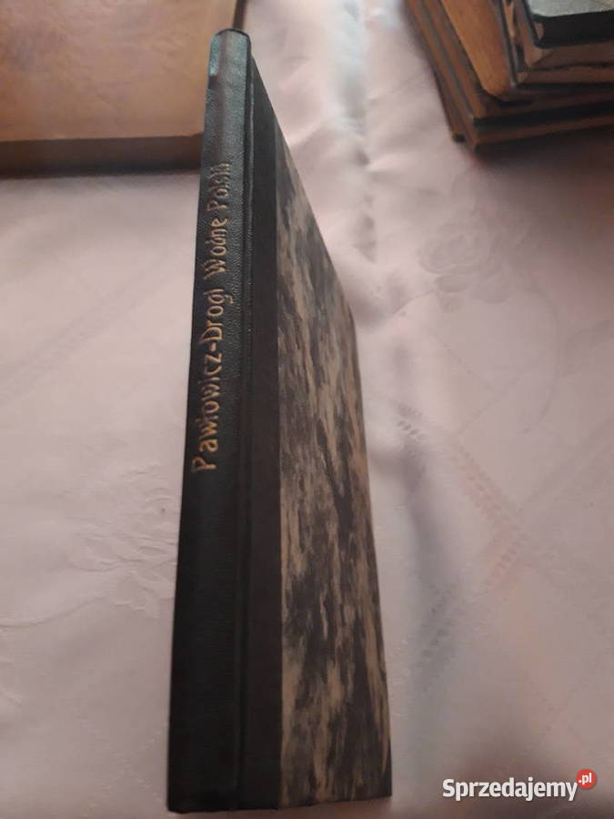 DROGI WODNE POLSKI Inż K Pawłowicz 1919 opr