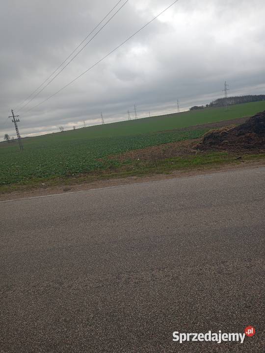 Mława Nowa Wieś 4200m kwdobra 21zł/m2 Sprzedaż