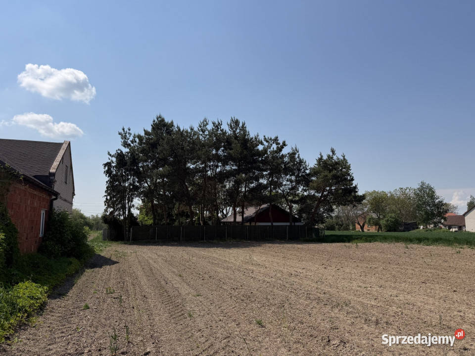 Siedlisko z lasem i łąką Zawady gm Kampinos budowlana mazowieckie