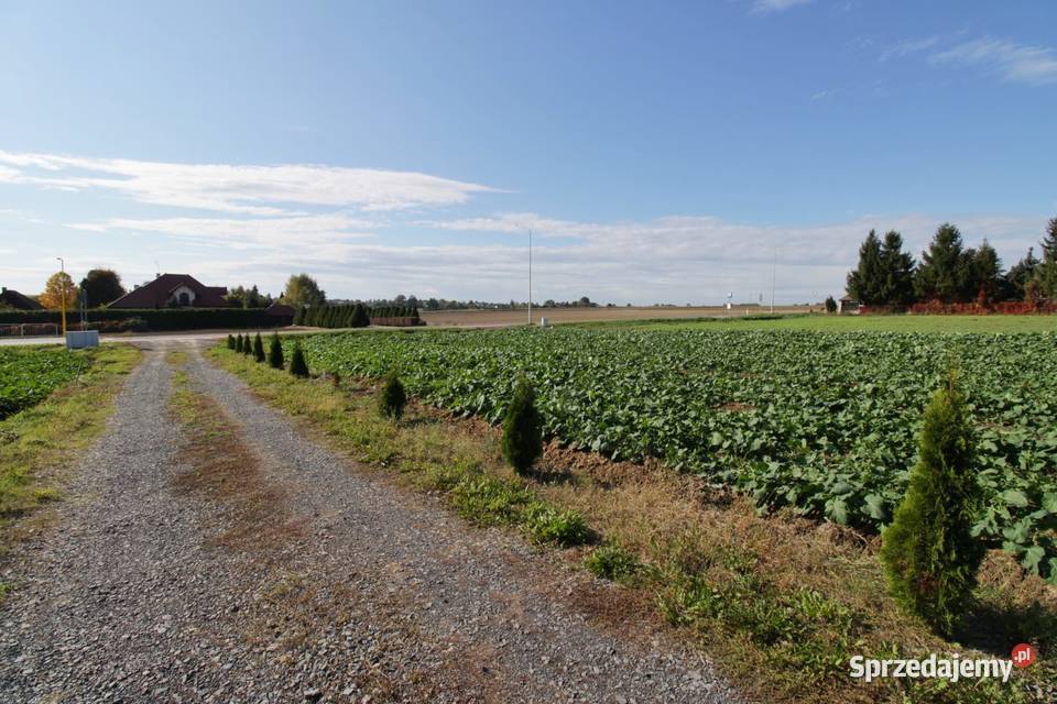 PRYWATNIE Działka Zemborzyce Gmina Konopnica 1158m2 lubelskie Zemborzyce Dolne