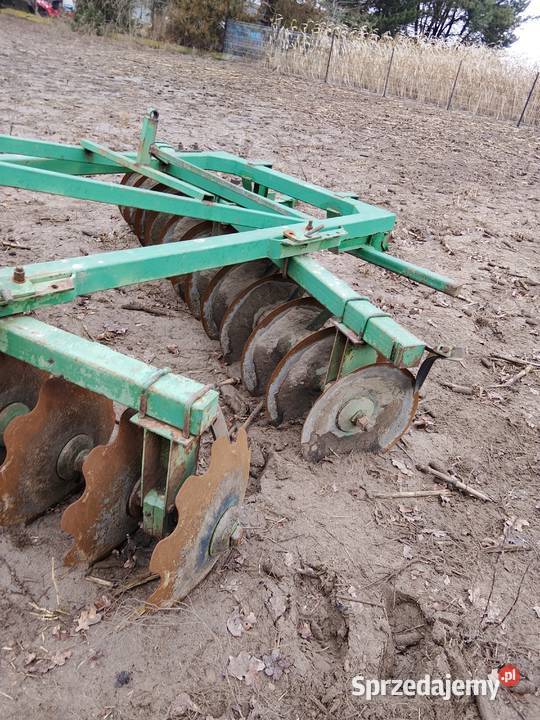 Talerzowka nieuszkodzony łódzkie