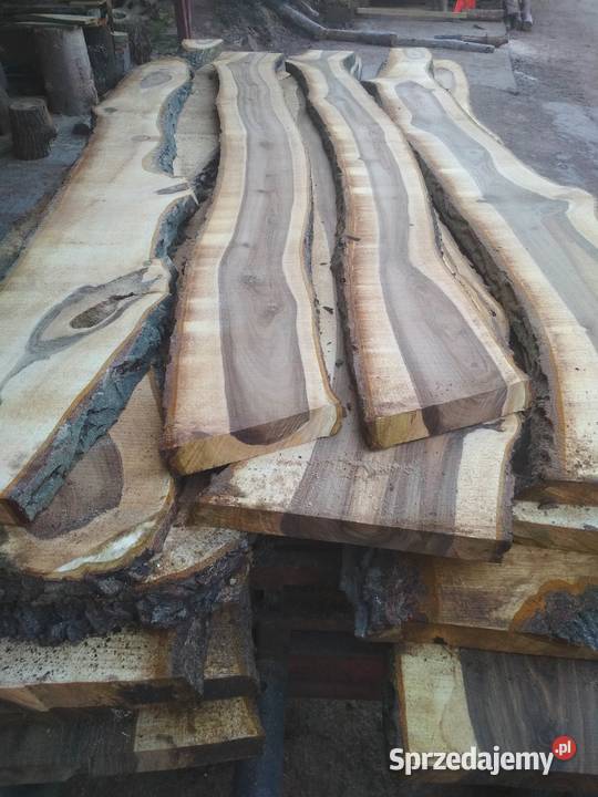 Tarcica orzech monolity WALNUT SLABS Izdebnik