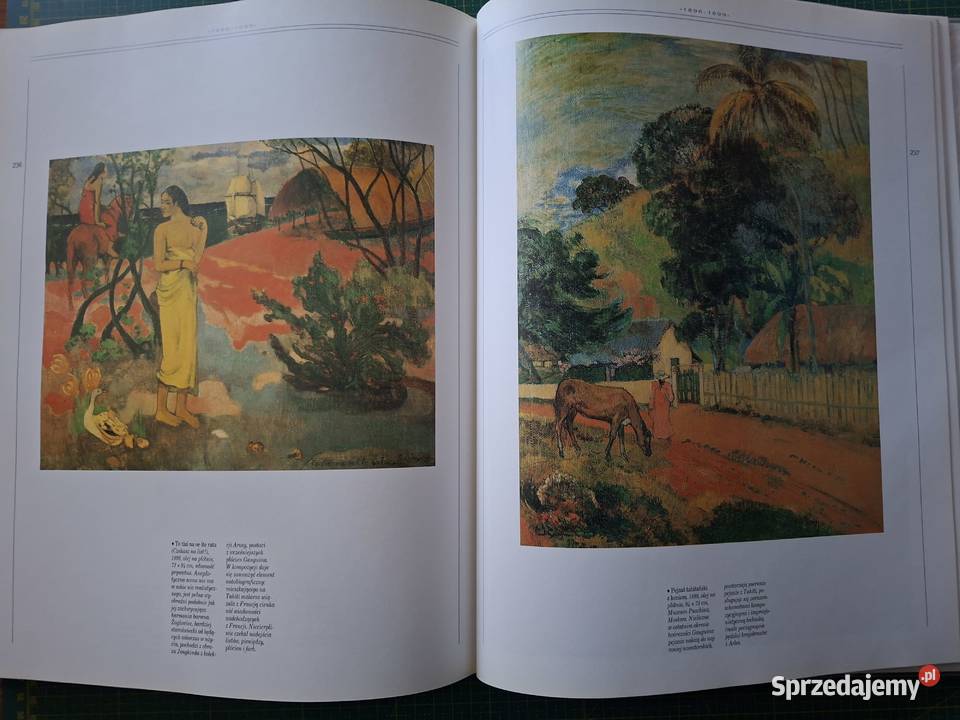 Życie i twórczość Paul Gauguin Arkady Kraków sprzedam