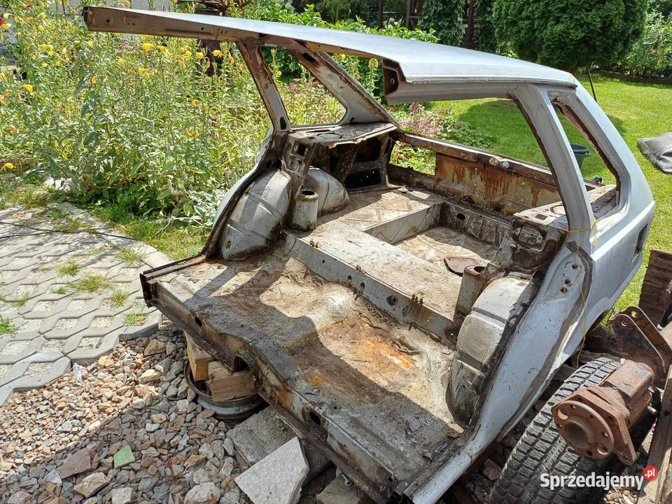 Polonez Bielewicz akwarium