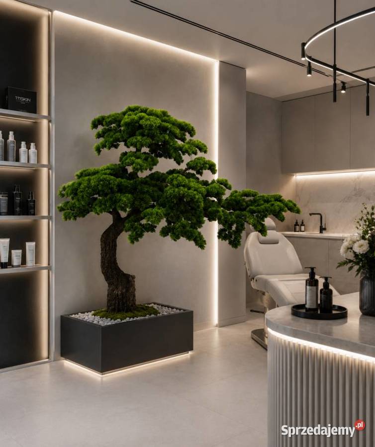 Sztuczne drzewko bonsai w doniczce żywe PREMIUM Nowy Sącz