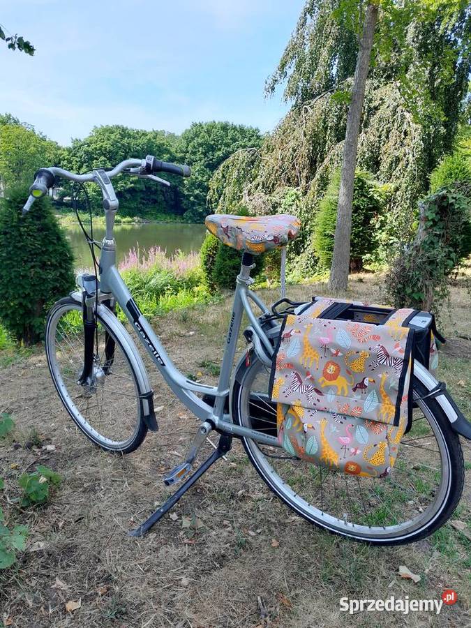 DAMKA GAZELLE lubelskie Łuków