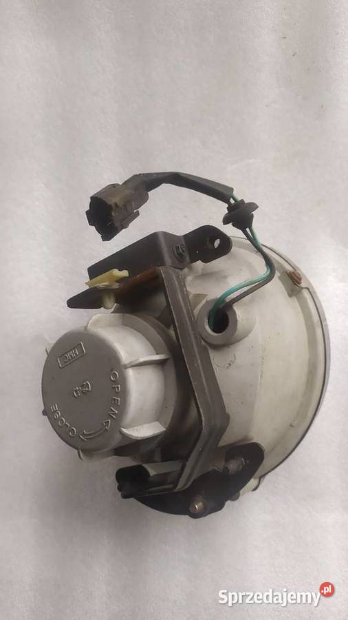 HYUNDAI H1 H1 halogen lewy 2000 2001 2002 2003 Byków