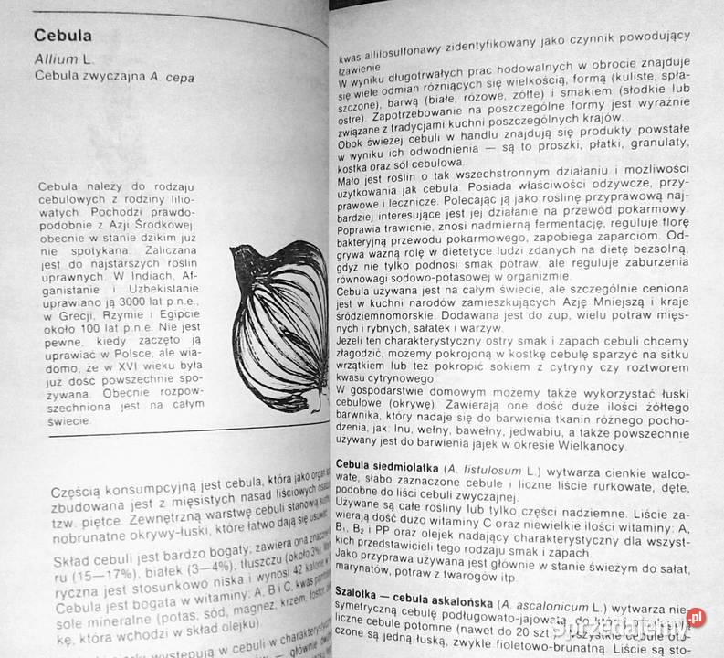 Ziołowe przyprawy kuchenne Zenon Węglarz miękka sprzedam